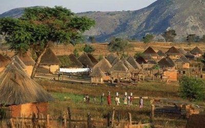 Urgent actionGovernment of Zimbabwe forcibly evicts 1 000 resettled villagers